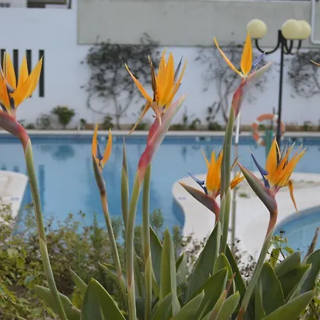 Próximo Da Marina C/piscina E Estacionamento * Vilamoura