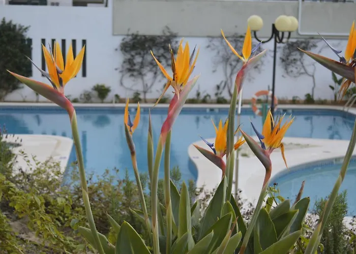 Proximo Da Marina C/piscina E Estacionamento * Vilamoura